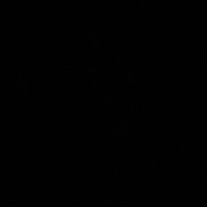 Meet your Posher, Mianda